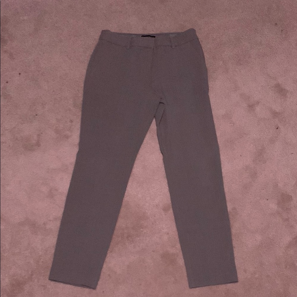 Express Columnist Ankle Pants